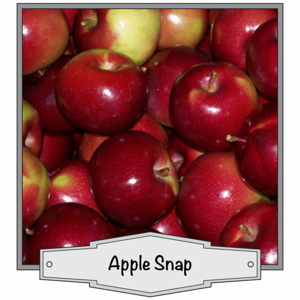 Apple Snap
