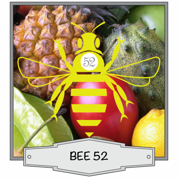 Bee 52