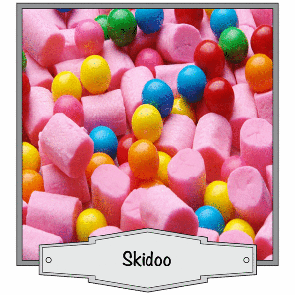 Skidoo
