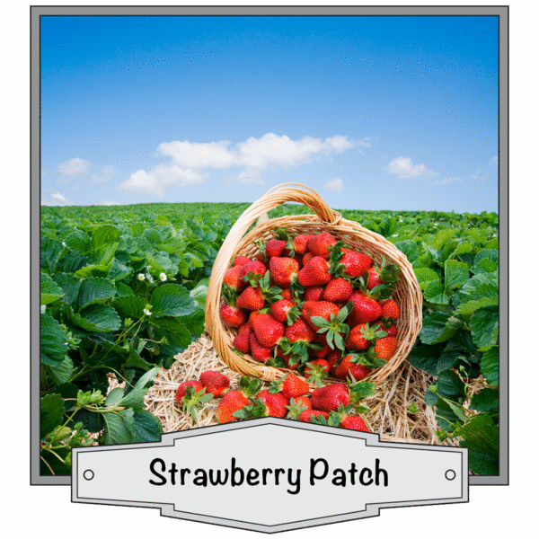 Strawberry Patch
